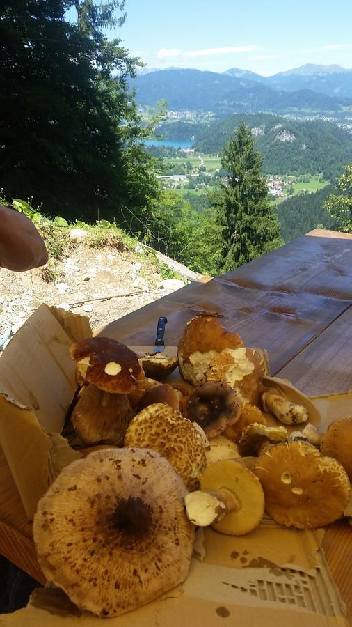 Koca Na Talezu Bed & Breakfast Ribno Bagian luar foto